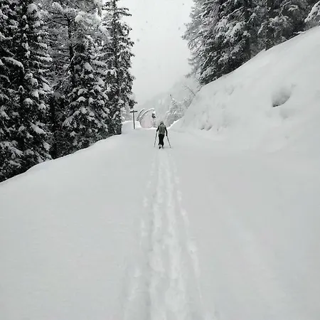Maison Du Ski Lth *